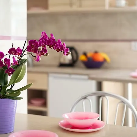 Nemo 3* Karwia