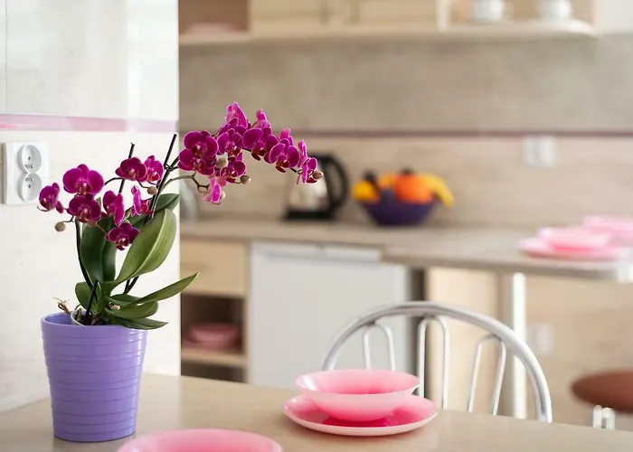 Nemo 3* Карвиа